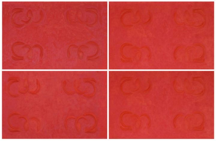 Rurh (zeep), rode zeep op doek 2010