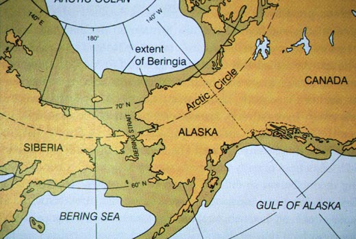 beringia