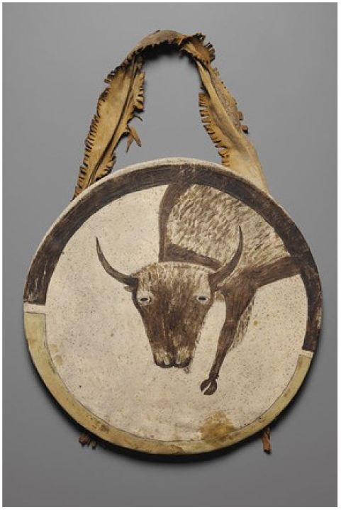 Arikara Shield